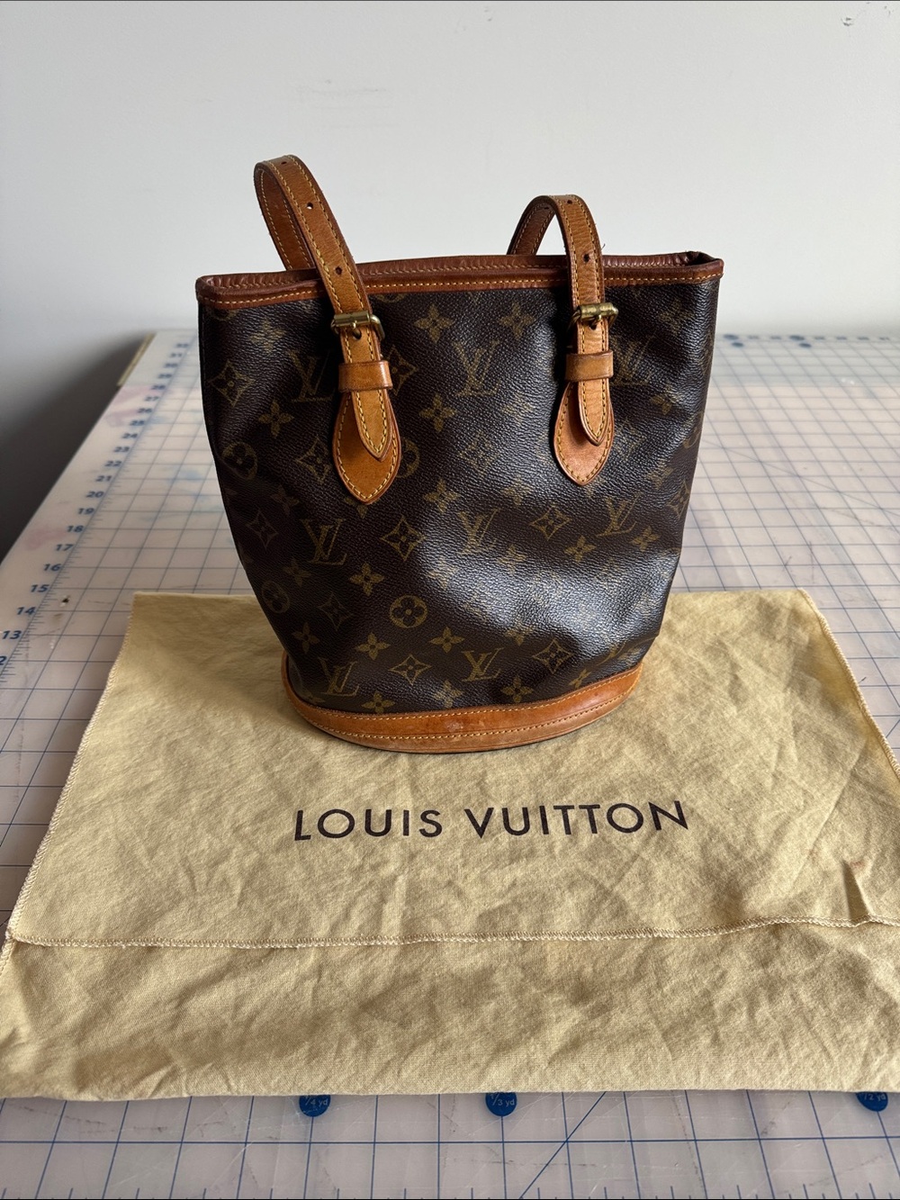 Louis Vuitton Monogram Canvas Bucket Tote with Tan Trim
